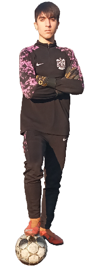 امیر مهدی دیناری